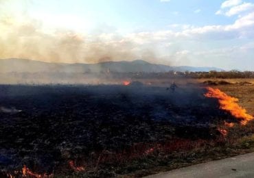 У Хусті прокуратура погодила підозру палію 9 га «Долини нарцисів»