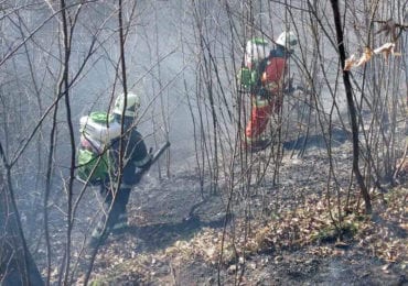 Знову за старе: закарпатці продовжують спалювати сухостій (ФОТО)