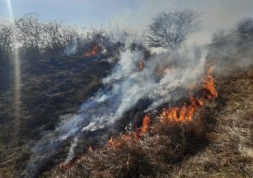 Припиніть спалювати сухостій: лісівники звернулися до закарпатців