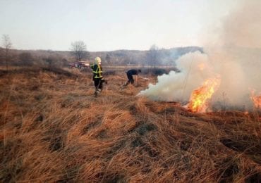 На Хустщині прокуратура затвердила обвинувальний акт палію «Долини нарцисів»