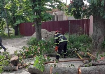 В Ужгороді вітер звалив дерево: частина ужгородців залишилась без газу (ФОТО)