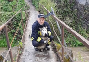 Закарпатські надзвичайники врятували хаскі (ФОТО)