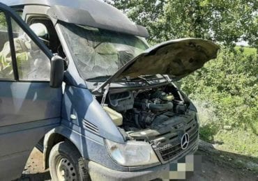 У Виноградові на ходу загорівся Mercedes (ФОТО)