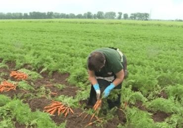 Чехія взяла на себе всі витрати по тестуванню на коронавірус, аби українці їхали до них (ВІДЕО)