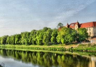 В Ужгороді нарешті розквітла найдовша у Європі липова алея (ВІДЕО)