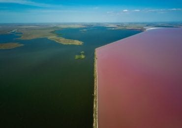 У Криму стало рожевим озеро Сасик-Сиваш