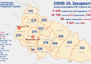 Покращень нема: на Закарпатті 86 нових випадків коронавірусу за добу