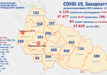 На Закарпатті за останню добу 83 нових випадків коронавірусу, одна людина померла