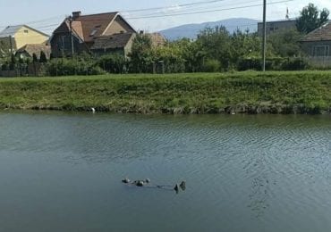 В Ужгороді на каналі в мікрорайоні Шахта виявили тіло невідомого чоловіка (ФОТО +18)