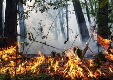 На Закарпатті оголошена висока пожежна небезпека