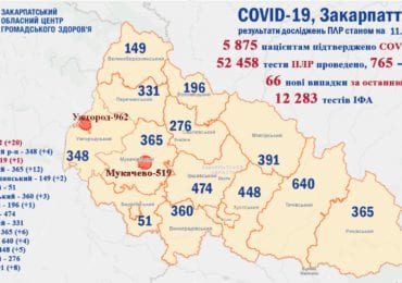 На Закарпатті 66 нових випадків коронавірусу за добу, 1 людина померла