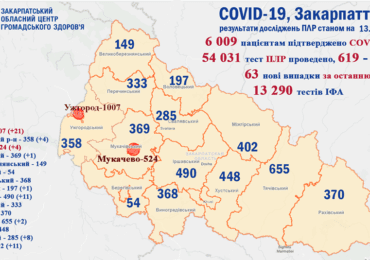 На Закарпатті  63 нових випадків коронавірусу за добу, 4 людей померли