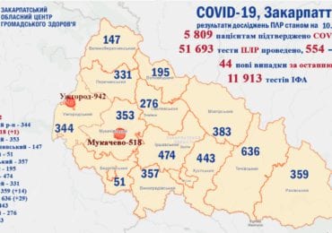 На Закарпатті 44 нових випадків коронавірусу за добу