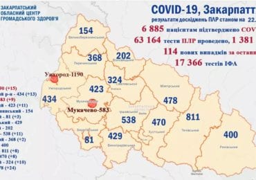 На Закарпатті 114 нових випадків коронавірусу за добу, 3 людей померло