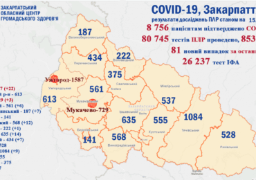 На Закарпатті за добу підтвердили 81 випадок коронавірусу