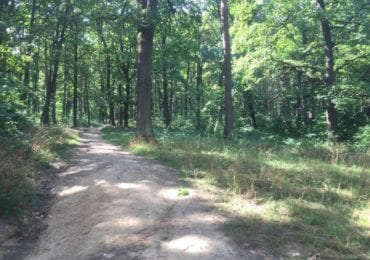 Шахтинський парк в Ужгороді: містянам пропонують підписати відповідну петицію