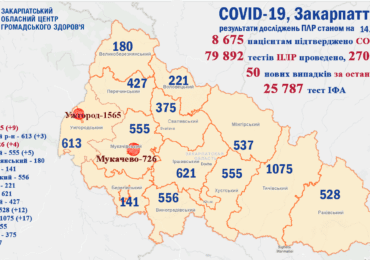 На Закарпатті за минулу добу виявлено 50 нових випадків коронавірусу, а 61 пацієнт одужав