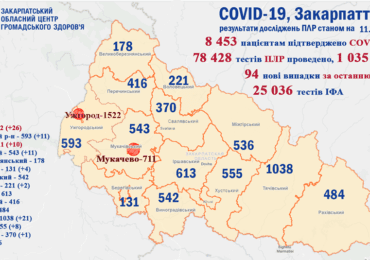 На Закарпатті підтверджено 94 випадки коронавірусу за добу