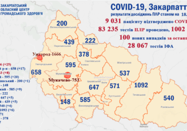 На Закарпатті 100 нових випадків коронавірусу за добу