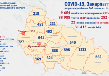 На Закарпатті 22 нових випадків коронавірусу за добу