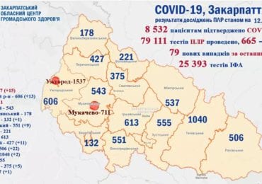 На Закарпатті підтверджено 79 випадків коронавірусу за добу