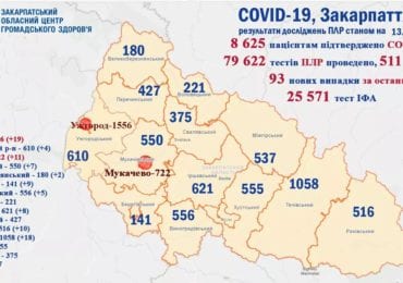 На Закарпатті підтверджено 93 випадків коронавірусу за добу