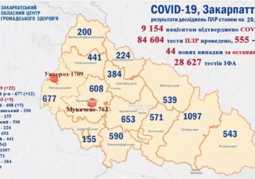 На Закарпатті 44 нових випадків коронавірусу за добу