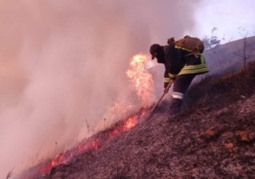 На Закарпатті рятувальники з лісниками локалізували пожежу (ФОТО)