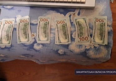 Прокуратура погодила підозру закарпатцеві, який викрав у пенсіонерки 180 тис гривень