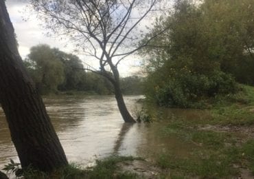 Опади не вщухають: річка Уж вийшла з берегів (ФОТО, ВІДЕО)