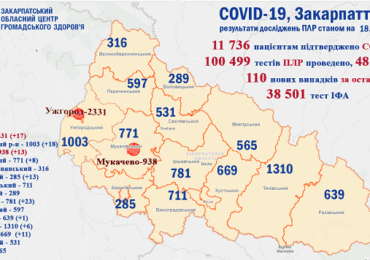 На Закарпатті зафіксовано 110 нових випадків коронавірусу за добу