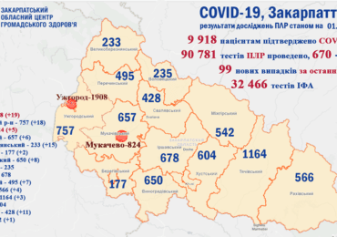 На Закарпатті 99 випадків коронавірусу за добу