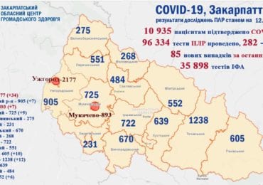 На Закарпатті 85 нових випадків коронавірусу за добу