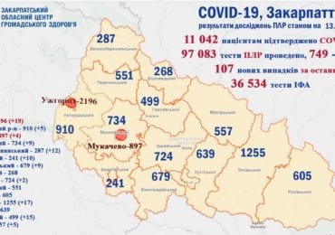 На Закарпатті зафіксова 107 випадків коронавірусу