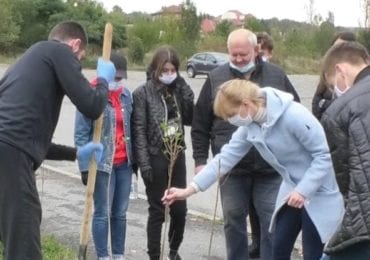 "Мільйон дерев за добу": в Ужгороді висаджувати дерева та кущі на трьох локаціях