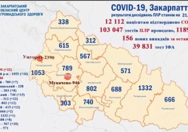 На Закарпатті 156 нових випадків коронавірусу за добу