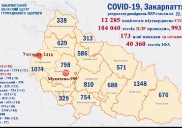 Померло 4 людей: на Закарпатті 173 нових випадків коронавірусу за добу