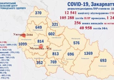 Померло 3 людей: на Закарпатті 256 нових випадків коронавірусу за добу