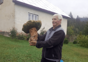 На Закарпатті чоловік знайшов величезного білого гриба (ФОТО)