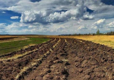 Закарпатку судитимуть за незаконне заволодіння землею в смт. Солотвино