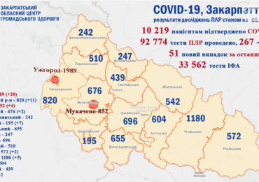 На Закарпатті 51 випадок коронавірусу за добу, одна людина померла