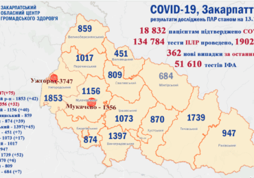 На Закарпатті за минулу добу 362 випадки коронавірусу