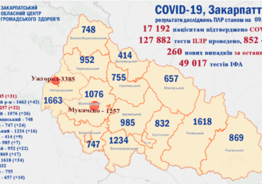 На Закарпатті виявлено 260 випадків коронавірусу, 9 людей померло