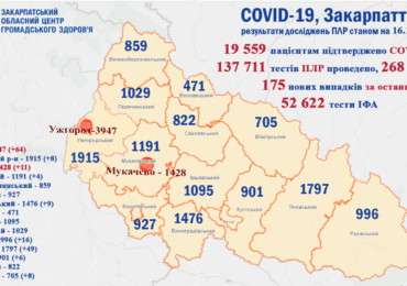 На Закарпатті 175 нових випадків коронавірусу за добу