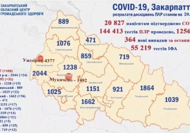 На Закарпатті 364 нових випадків коронавірусу за добу