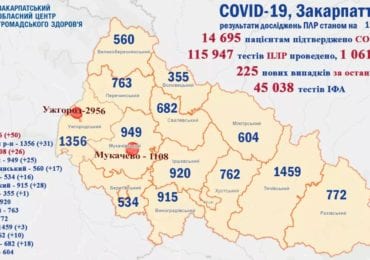 На Закарпатті 225 нових випадків коронавірусу за добу