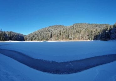 Неймовірне Закарпаття: засніжений Синевир зачаровує красою (ФОТО)