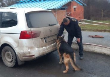 Пред’явив дипломатичний паспорт: на Закарпатті службовий собака виявив контрабанду (ФОТО)