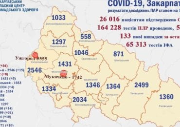 4 людей померло: на Закарпатті 133 нових випадків коронавірусу за добу