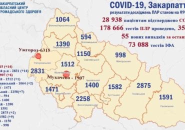 За минулу добу на Закарпатті підтверджено 55 випадків коронавірусу